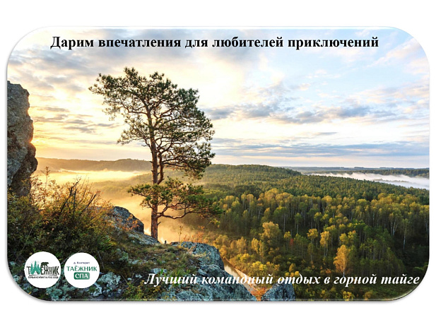 Проведение корпоративов